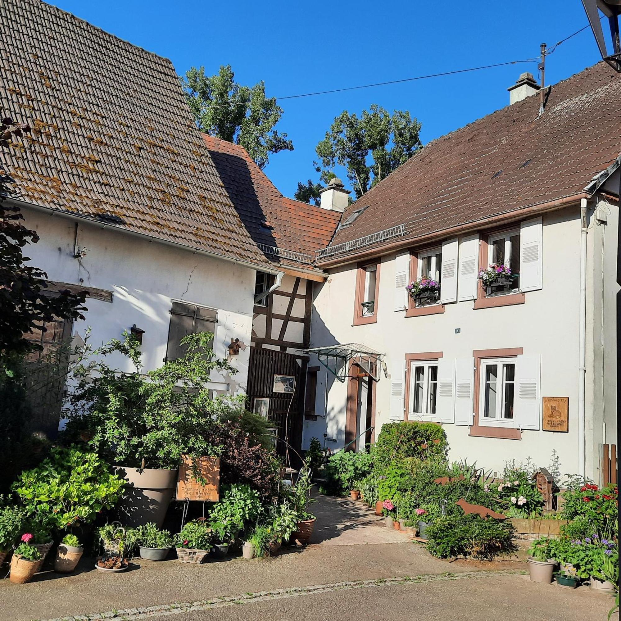 Maison d'hôtes La Renardière Reichshoffen Extérieur photo